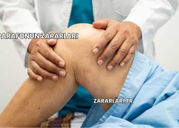 Parafonun Zararları