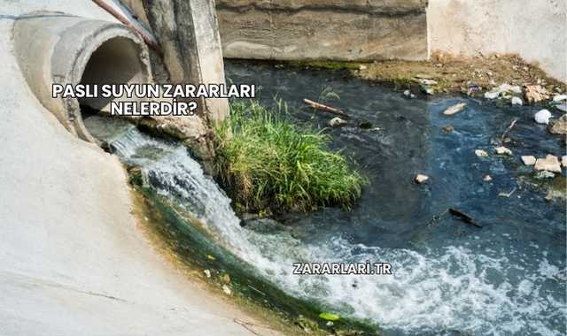 Paslı Suyun Zararları Nelerdir?