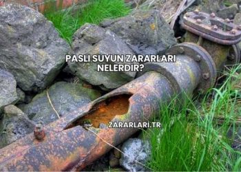 Paslı Suyun Zararları Nelerdir?