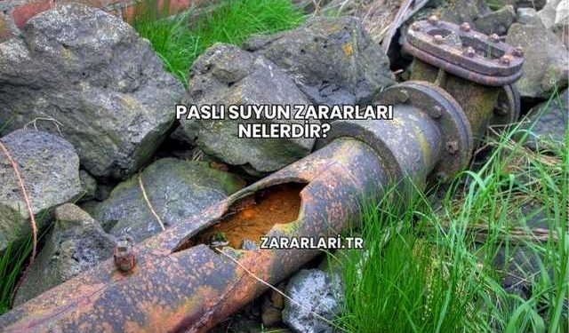 Paslı Suyun Zararları Nelerdir?
