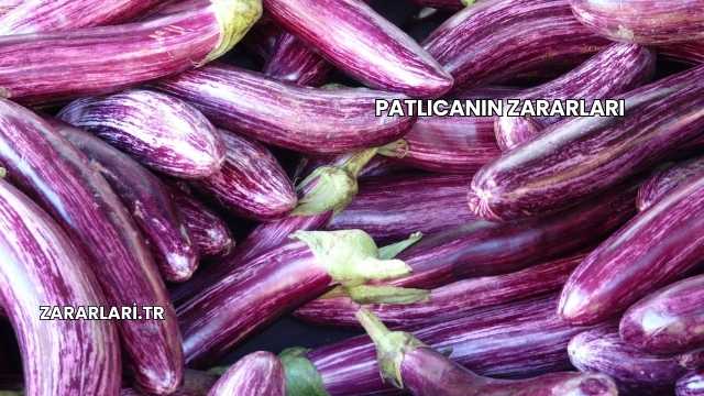 Patlıcanın Zararları