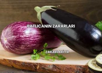 Patlıcanın Zararları