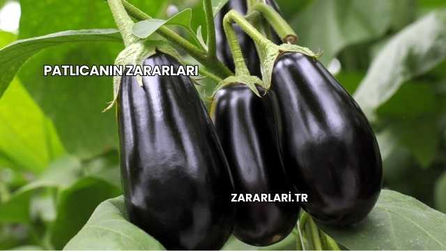 Patlıcanın Zararları