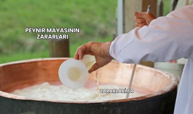 Peynir Mayasının Zararları