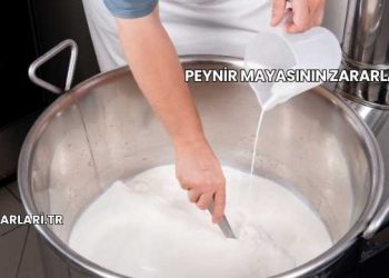 Peynir Mayasının Zararları