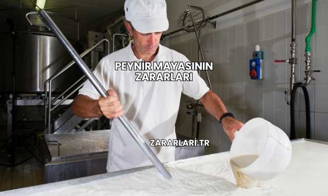 Peynir Mayasının Zararları