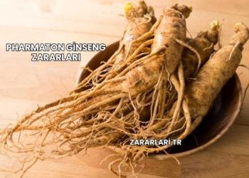 Pharmaton Ginseng Zararları
