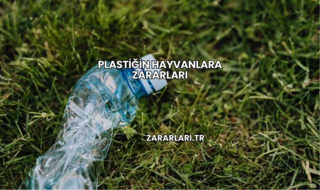 Plastiğin Hayvanlara Zararları