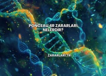 Ponceau 4R Zararları Nelerdir?
