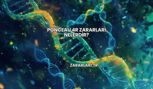 Ponceau 4R Zararları Nelerdir?