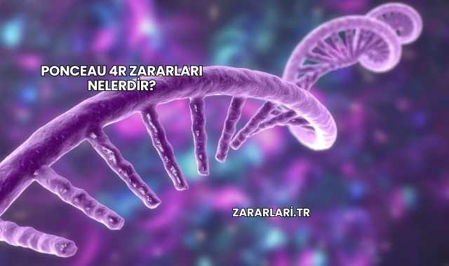 Ponceau 4R Zararları Nelerdir?