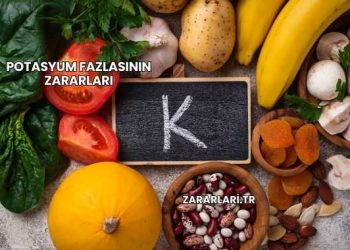 Potasyum Fazlasının Zararları