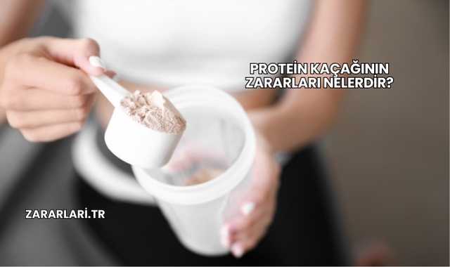 Protein Kaçağının Zararları Nelerdir?