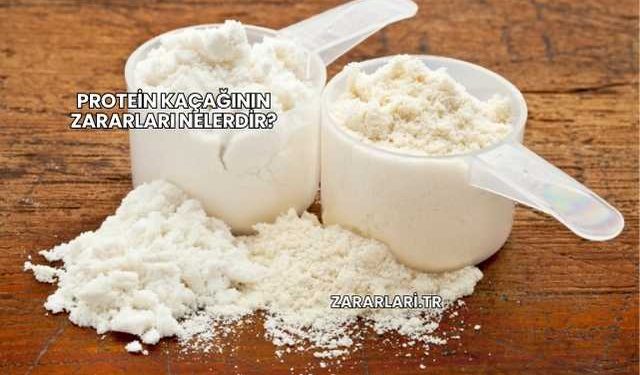 Protein Kaçağının Zararları Nelerdir?