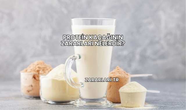Protein Kaçağının Zararları Nelerdir?