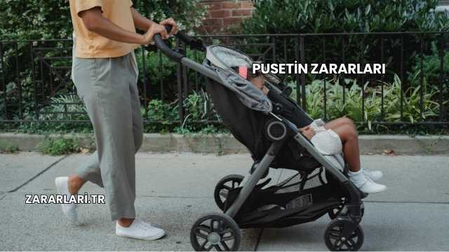 Pusetin Zararları