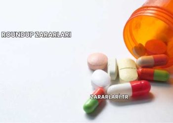 Roundup Zararları