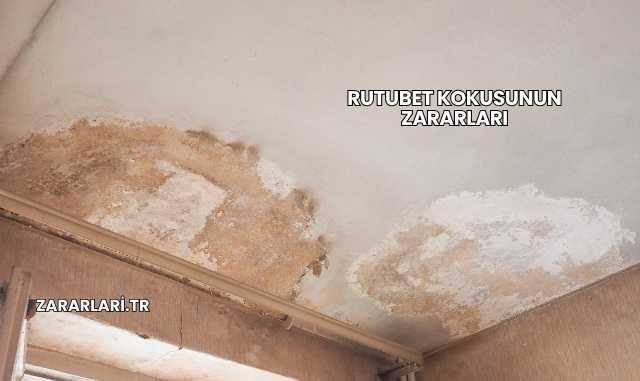 Rutubet Kokusunun Zararları