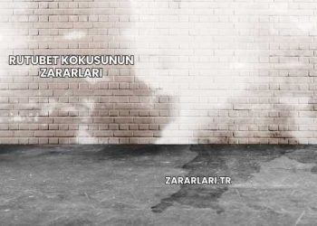 Rutubet Kokusunun Zararları