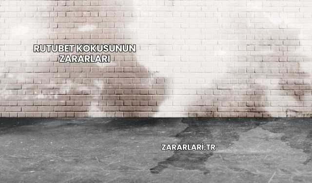 Rutubet Kokusunun Zararları