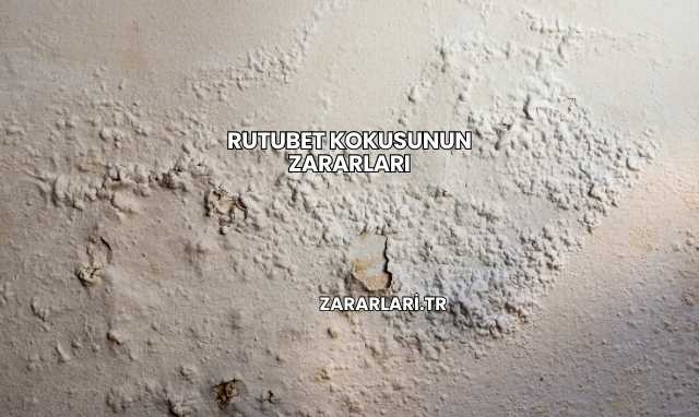 Rutubet Kokusunun Zararları