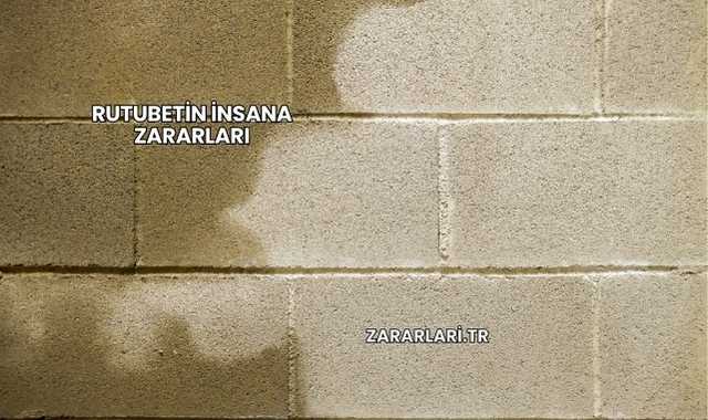 Rutubetin İnsana Zararları