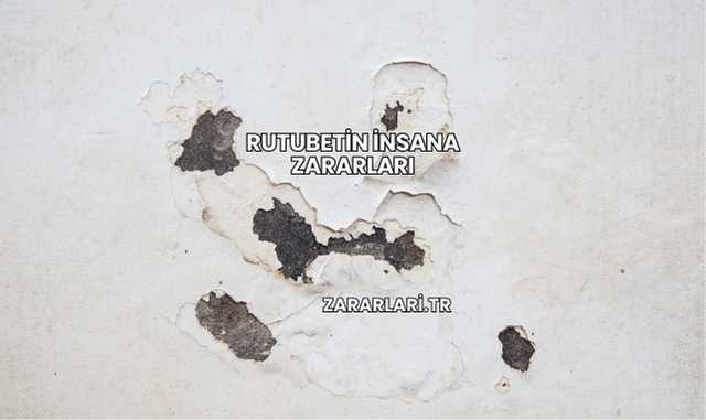 Rutubetin İnsana Zararları