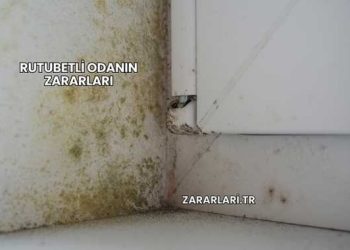 Rutubetli Odanın Zararları