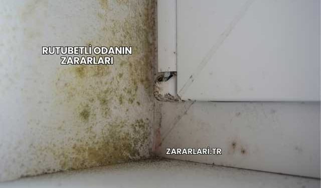 Rutubetli Odanın Zararları