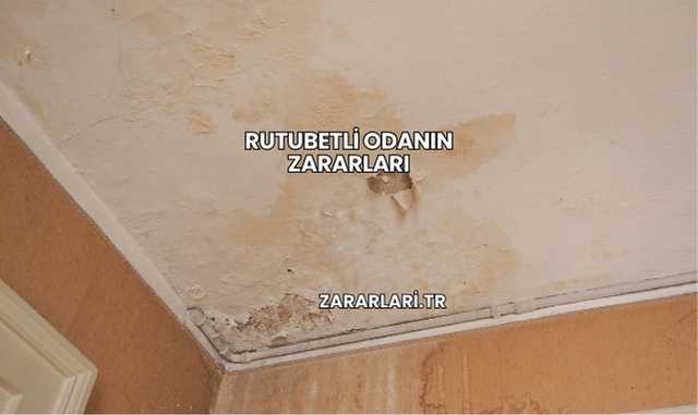 Rutubetli Odanın Zararları