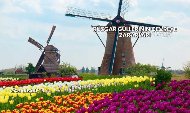 Rüzgar Güllerinin Çevreye Zararları
