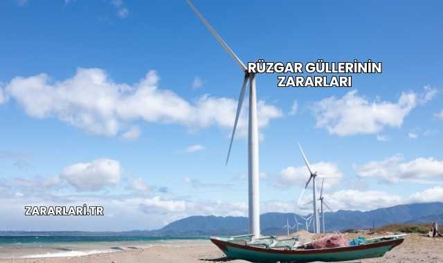Rüzgar Güllerinin Zararları