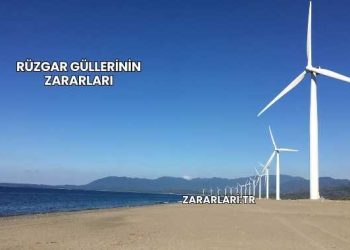 Rüzgar Güllerinin Zararları