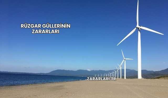 Rüzgar Güllerinin Zararları