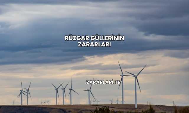 Rüzgar Güllerinin Zararları
