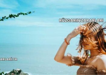 Rüzgarın Zararları