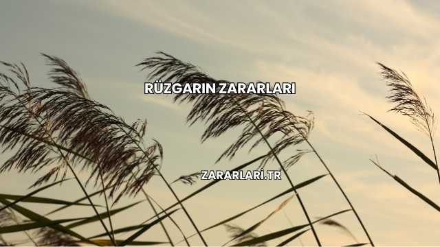 Rüzgarın Zararları