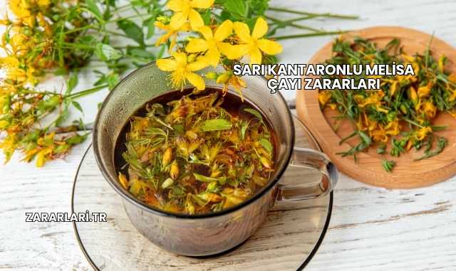 Sarı Kantaronlu Melisa Çayı Zararları