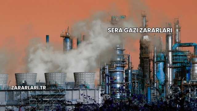 Sera Gazı Zararları