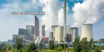 Sera Gazı Zararları