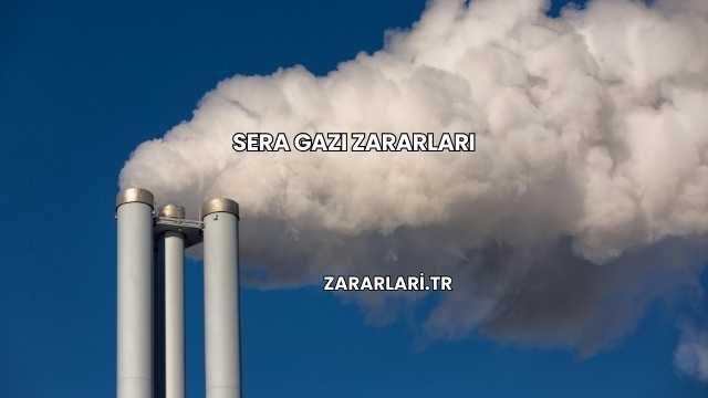 Sera Gazı Zararları