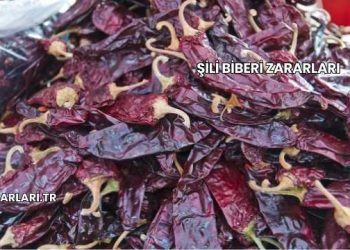 Şili Biberi Zararları
