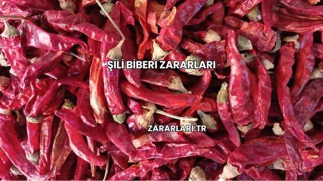 Şili Biberi Zararları