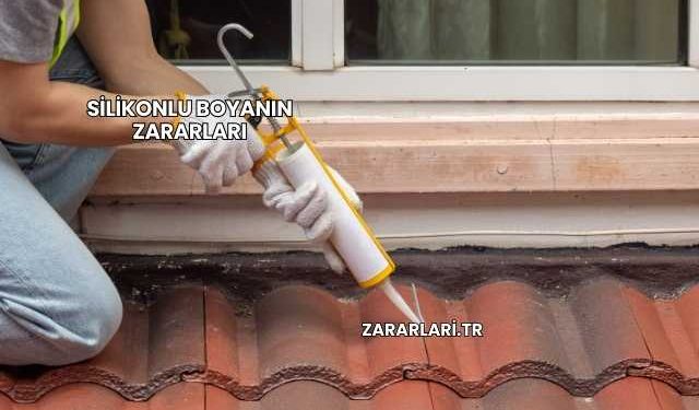 Silikonlu Boyanın Zararları