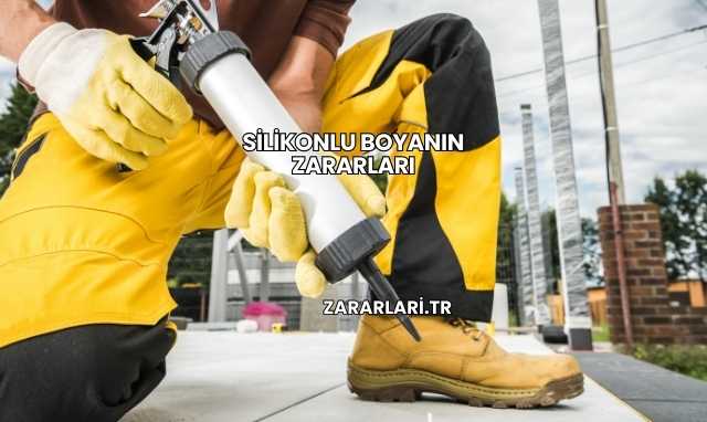 Silikonlu Boyanın Zararları