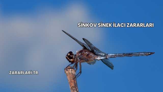 Sinkov Sinek İlacı Zararları