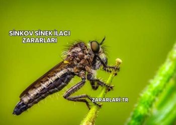 Sinkov Sinek İlacı Zararları