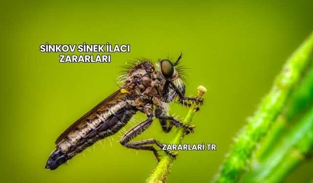 Sinkov Sinek İlacı Zararları