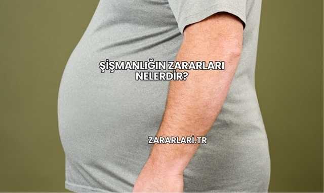 Şişmanlığın Zararları Nelerdir?