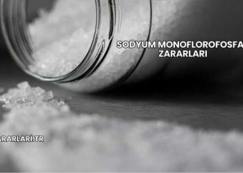 Sodyum Monoflorofosfat Zararları